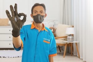 Vacuum-Tungau-dan-Debu-di-Depok